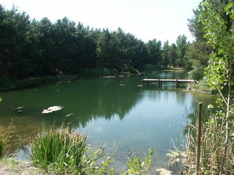 Enlarge photo 14