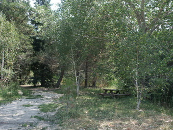 Enlarge photo 15