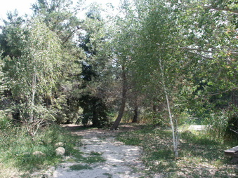 Enlarge photo 16