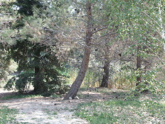 Enlarge photo 17