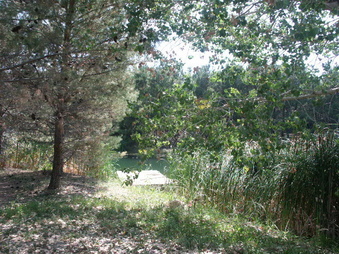 Enlarge photo 18