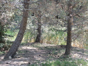 Enlarge photo 19