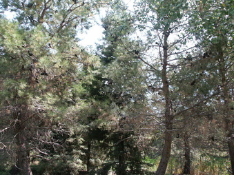 Enlarge photo 20