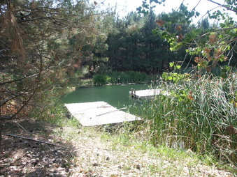Enlarge photo 21