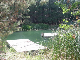 Enlarge photo 22