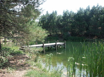 Enlarge photo 23