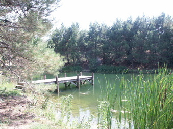 Enlarge photo 24