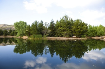 Enlarge photo 25