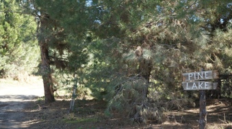 Enlarge photo 26