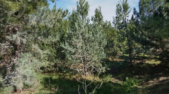 Enlarge photo 27