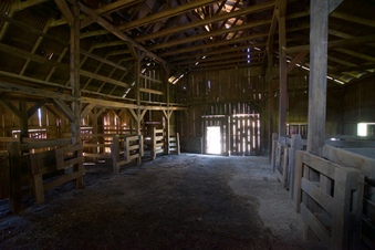 Enlarge photo 7