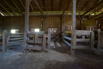 Enlarge photo 14