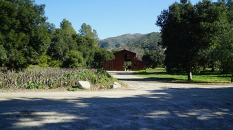 Enlarge photo 21