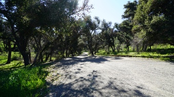 Roads and Grounds