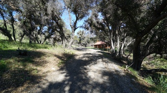 Enlarge photo 2