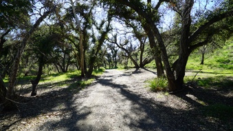Enlarge photo 5