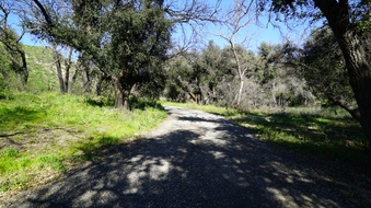 Enlarge photo 8