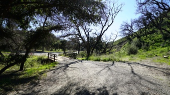 Enlarge photo 6