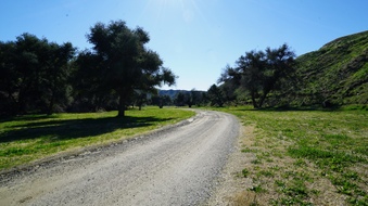 Enlarge photo 10
