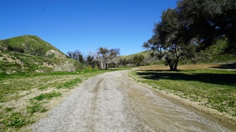 Enlarge photo 11