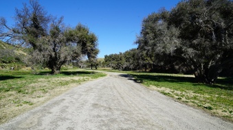 Enlarge photo 13