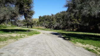 Enlarge photo 12