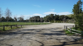 Enlarge photo 16