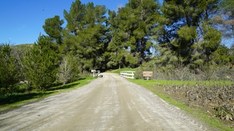 Enlarge photo 17