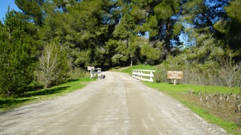Enlarge photo 18