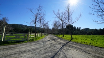 Enlarge photo 24