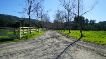 Enlarge photo 25
