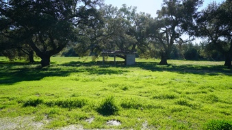 Enlarge photo 26