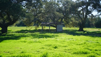 Enlarge photo 27