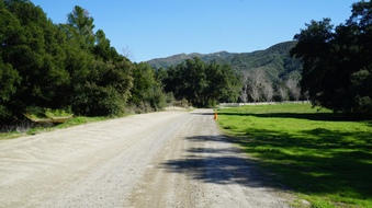Enlarge photo 29