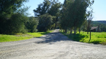 Enlarge photo 28