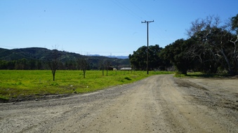 Enlarge photo 30