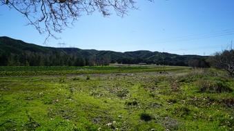 Enlarge photo 32