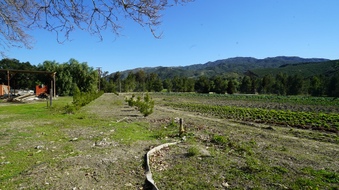 Enlarge photo 33