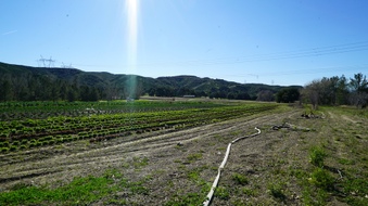Enlarge photo 34