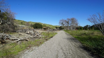 Enlarge photo 35