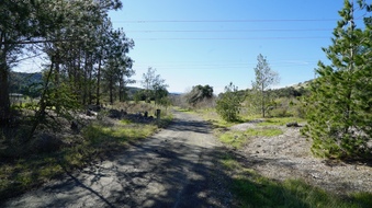Enlarge photo 37