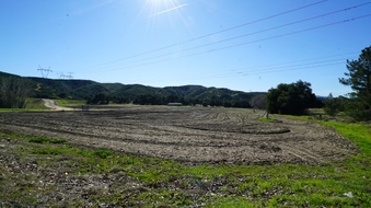 Enlarge photo 41