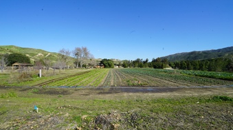 Enlarge photo 43