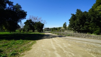 Enlarge photo 45