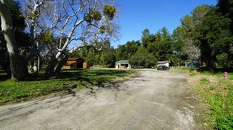 Enlarge photo 46