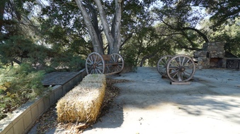 Enlarge photo 27