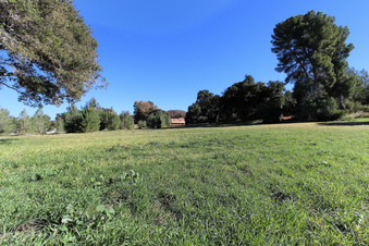 Enlarge photo 13