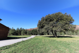 Enlarge photo 14