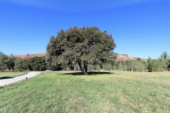 Enlarge photo 15