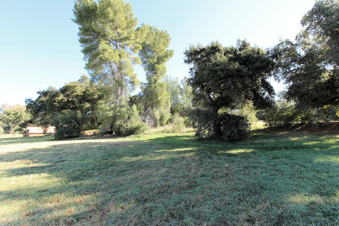 Enlarge photo 17